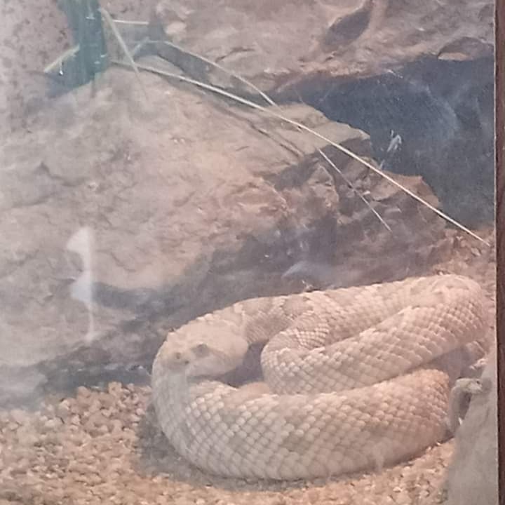 DrakeFowler18's tweet image. 