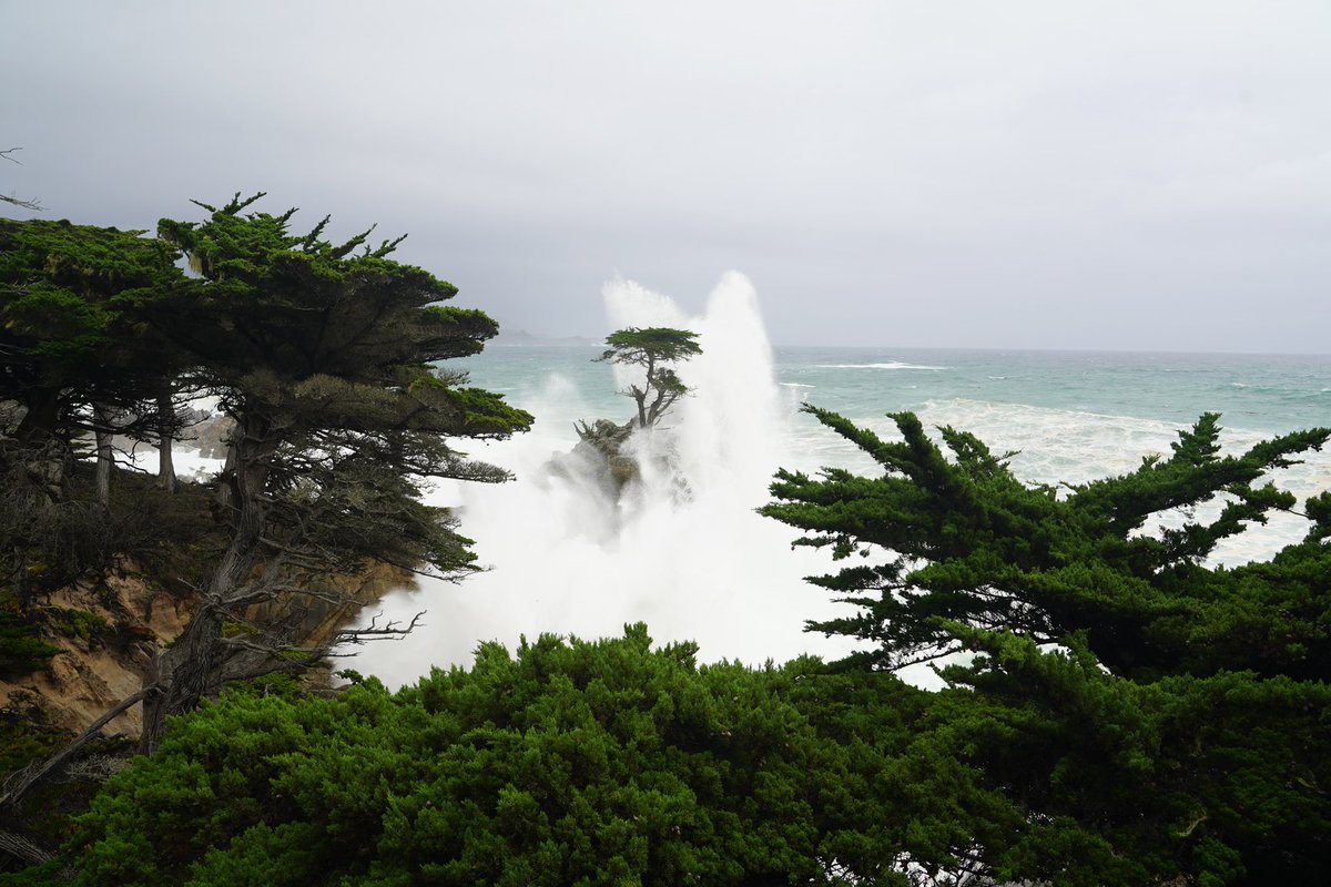 I just talked to J.J. West, the general manager at MPCC, and he says the damage is repairable and the 14th hole of the Dunes will be closed “for just a little while.” But to understand the waves that hit Pebble this morning, the top of the Lone Cypress is 150’ above sea level!