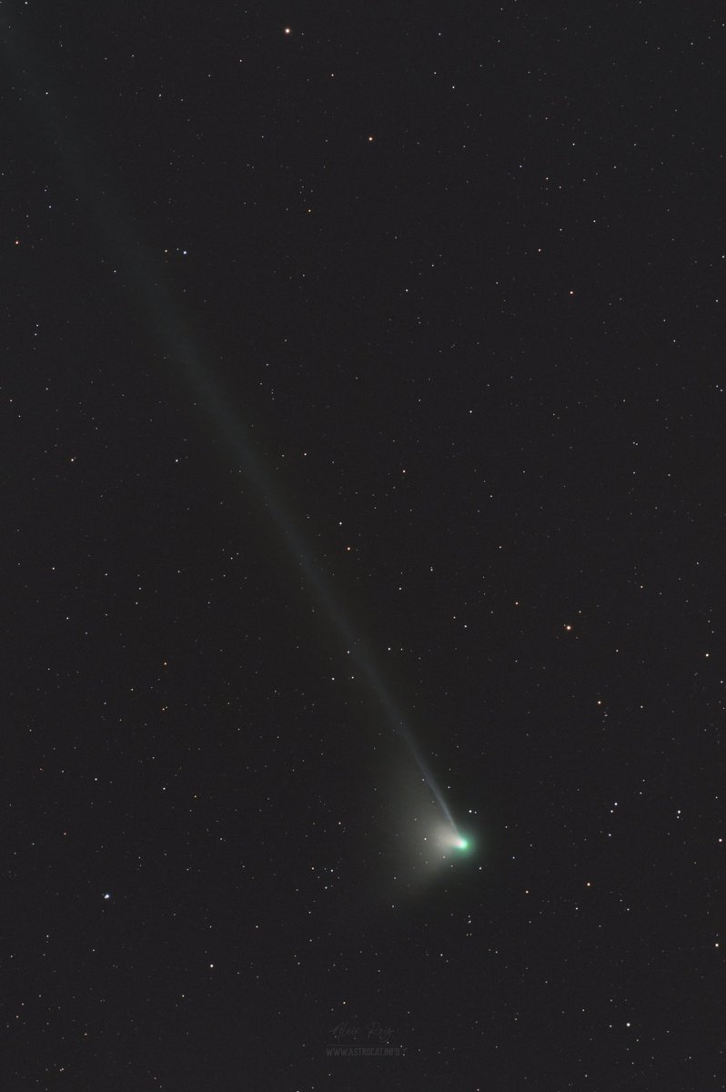 astrocatinfo's tweet photo. COMET ☄️ 2022 E3 today https://t.co/YLtDoyR0YM