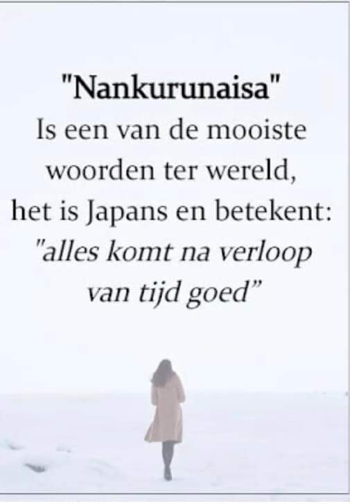 Kirsten🦋 tweet media