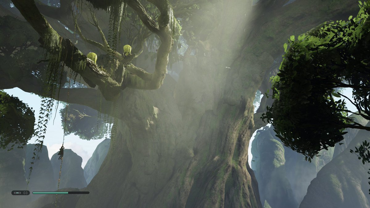 NickCook012's tweet image. #SWJediSurvivorPhotoSweeps via @surfgiveaways
I thought this sight of the big tree was pretty.