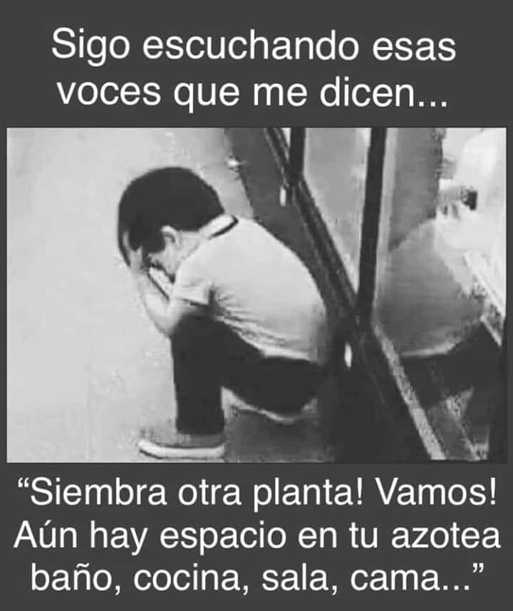 EcoInventos's tweet photo. Sigo escuchando esas voces... https://t.co/WCqApg340X