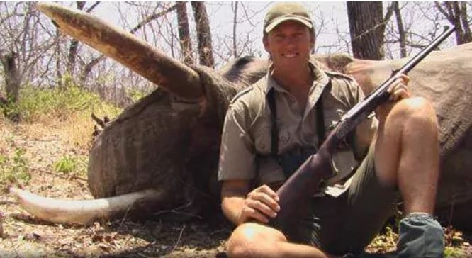 Former Australian cricketer and elephant killer, Glenn McGrath, is admirably raising millions for breast cancer. #PinkTest

@THULATHULA1 do great work for elephants. These majestic creatures need all the help and protection they can get.➡️thulathula.com

@Protect_Wldlife