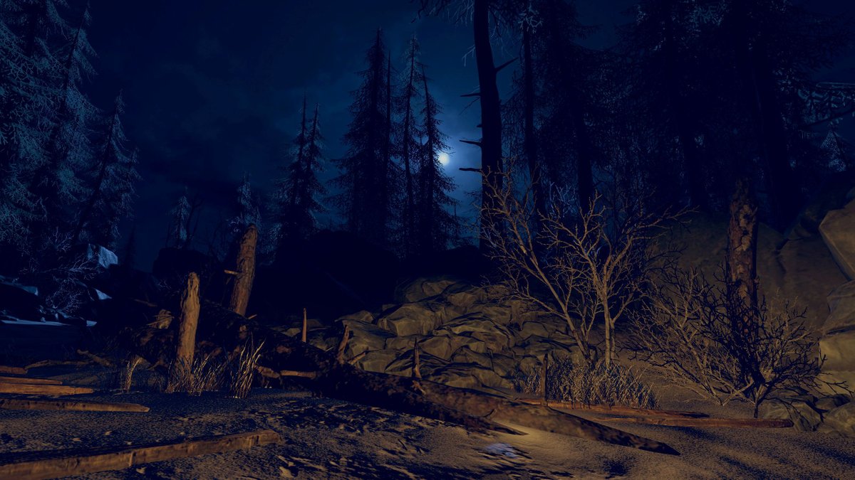 Shawn Whiting tweet media