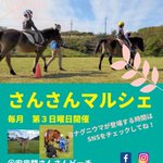 Let's support!ヨナグニウマ(与那国馬)#12/24 いちかわごちそうマルシェのツイート画像