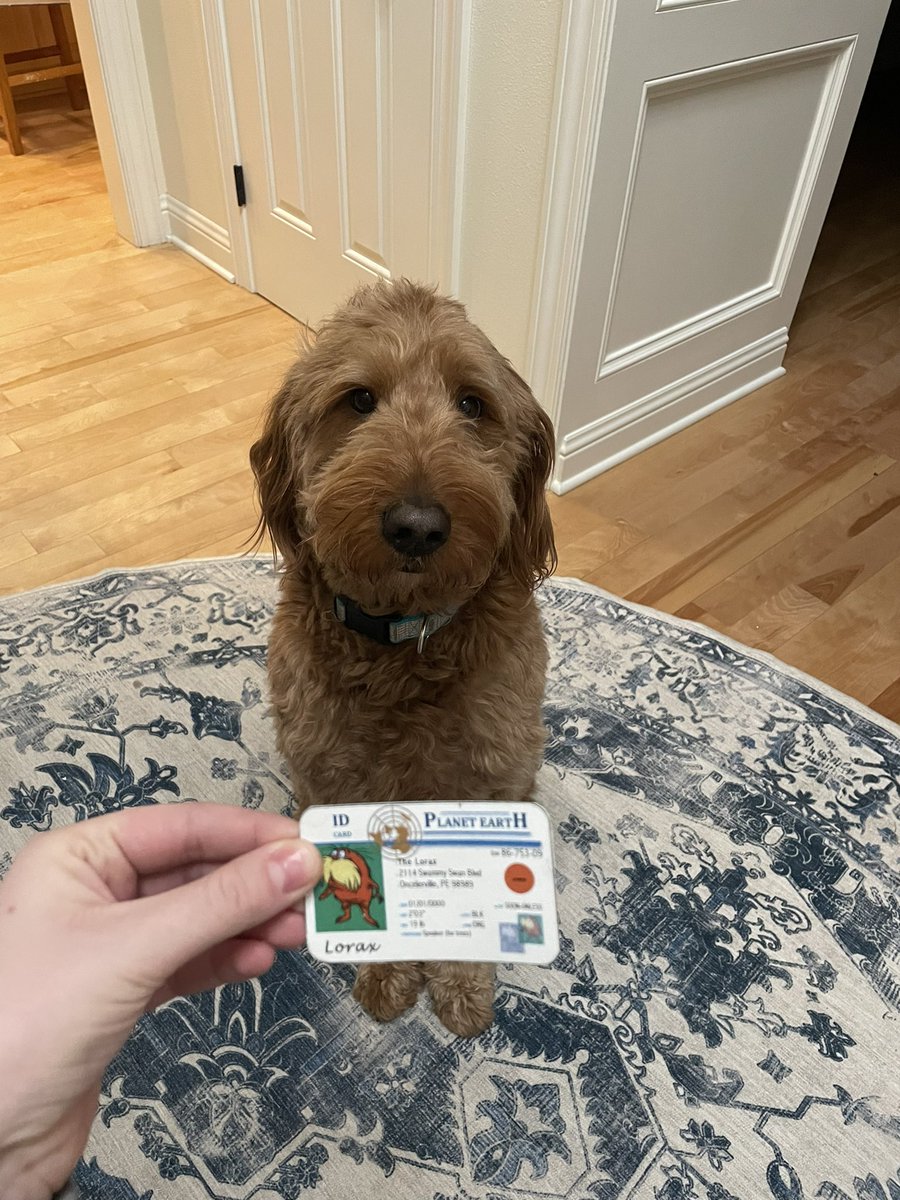 Abigail Martin1 (@martin1_abigail) on Twitter photo This is Chewbacca. He is a K-Strategists. He could have few offspring and would help care for them before letting them be on their own. If he was an R-Strategist he would create many offspring and not give them parental care. #apeseco <a href="/franklinlorax/">APES Project Lorax</a> This is Chewbacca. He is a K-Strategists. He could have few offspring and would help care for them before letting them be on their own. If he was an R-Strategist he would create many offspring and not give them parental care. #apeseco <a href="/franklinlorax/">APES Project Lorax</a>
