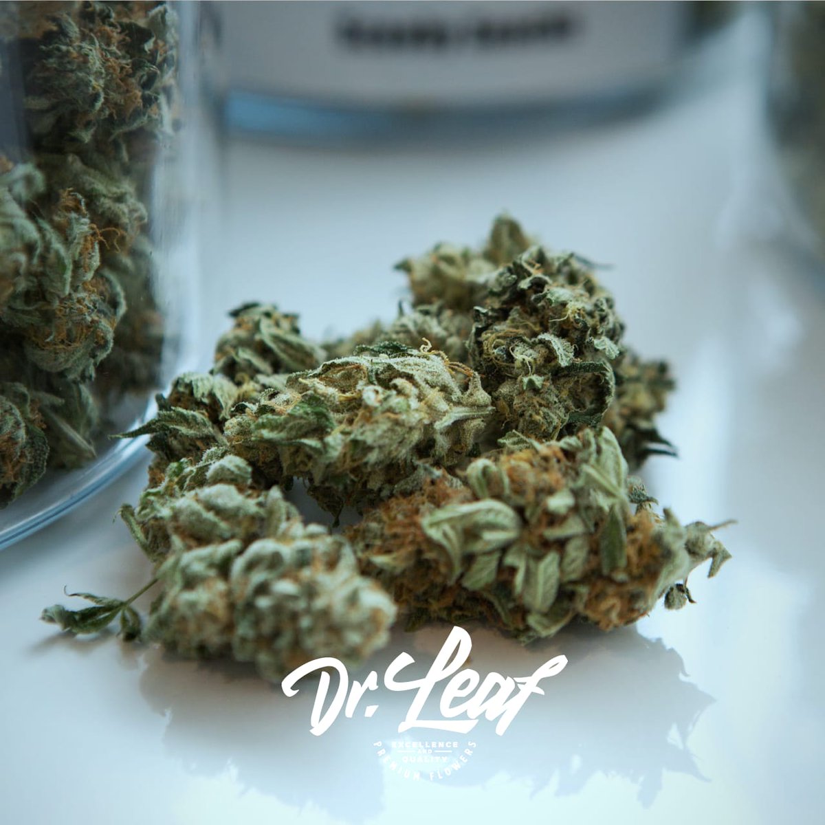 drleafmx's tweet photo. Calidad y Excelencia! 👽👌🏻🚀📦
#DRLEAF https://t.co/q2WargtKpt