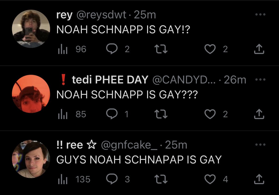 dnfirwin's tweet image. I think Noah Schnapp is gay but idk
