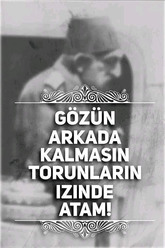 En zor zamanlarda tahta geçip, bitti denilen devleti 33 sene ayakta tutup ömrünü uzatan, saltanatı boyunca ahmak ittihatçılar, siyonist ve masonlarla mücadele hakan. 
Gözün arkada kalmasın torunların izinde...
