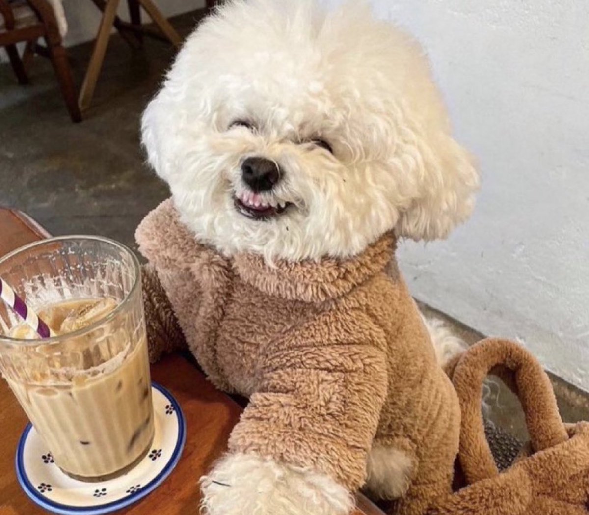 G0TTLUX's tweet photo. @CrumblCookies PLEASE i’m literally having such a bad day rn i wanna be as happy as this dog https://t.co/E3wCSVI9lX