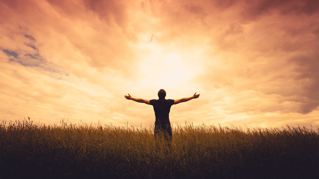 mygiddi's tweet photo. Taint tanning, yay or nay? Perineum Sunning: 5 Facts To Consider Before Tanning Your Taint ☀️ 

https://t.co/Nm4kKUPkRO

#perineumsunning #taint #tainttanning #nsfw #mygiddi #giddi https://t.co/h11lTvRCgy