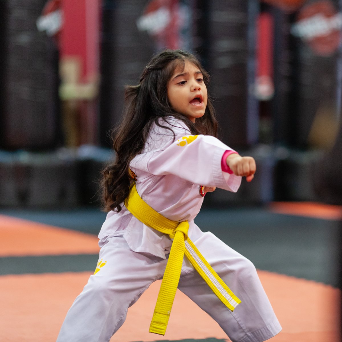 TeamTigerTexas's tweet photo. Day by day, with every Team Tiger Martial Arts class under your belt, you'll feel yourself getting stronger and more confident. What are you waiting for? Sign up today at https://t.co/GGmT32HSv1. https://t.co/duS5SLZF7C