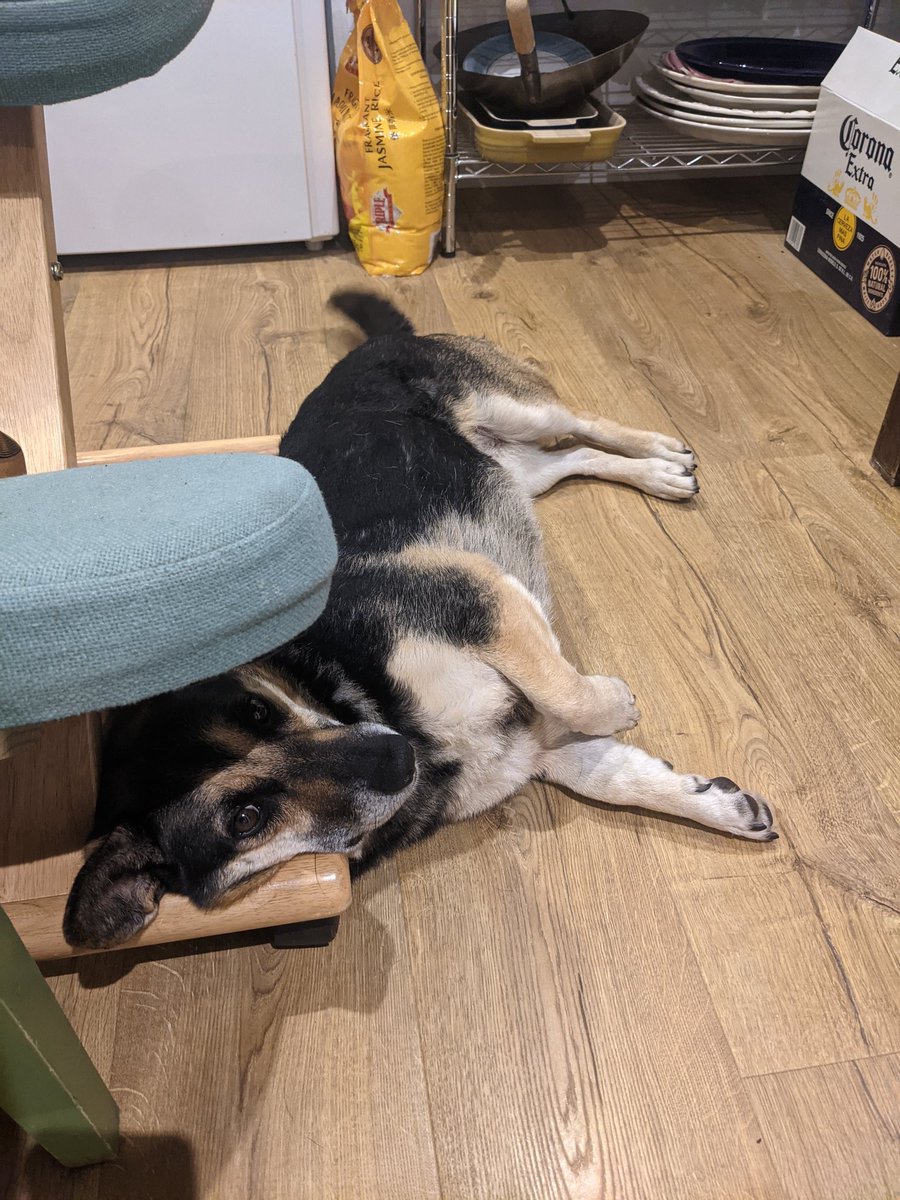 Alon Baram tweet media