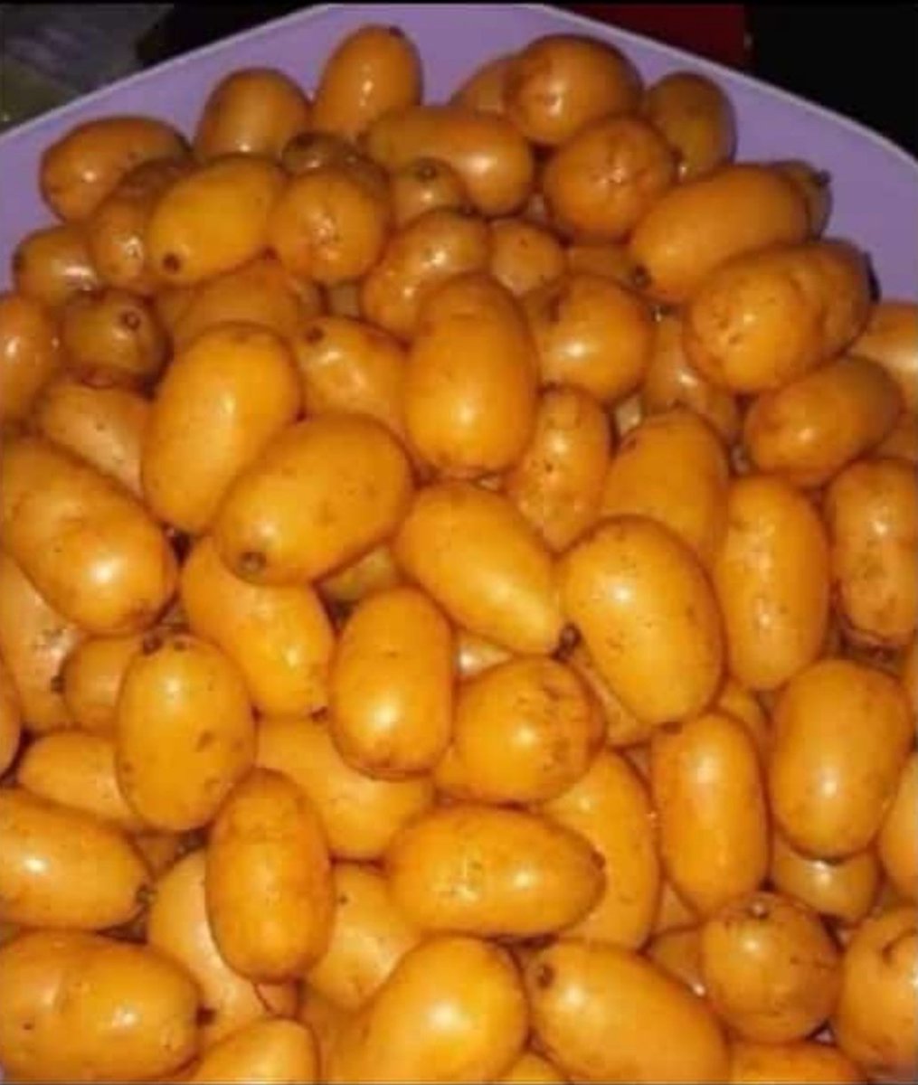 Ebrima Jatta (@ebrimaj15041565) on Twitter photo 