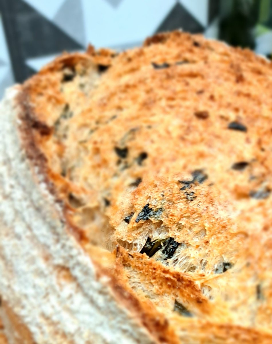 First out oven on the first graveyard shift of 2023 is the Fennel and Seaweed bread 🍞 on their way to Blagraves in Barnard Castle #bakery #bread #flavourcombination #specialitybread #shareyourloaves @breadawardsUK