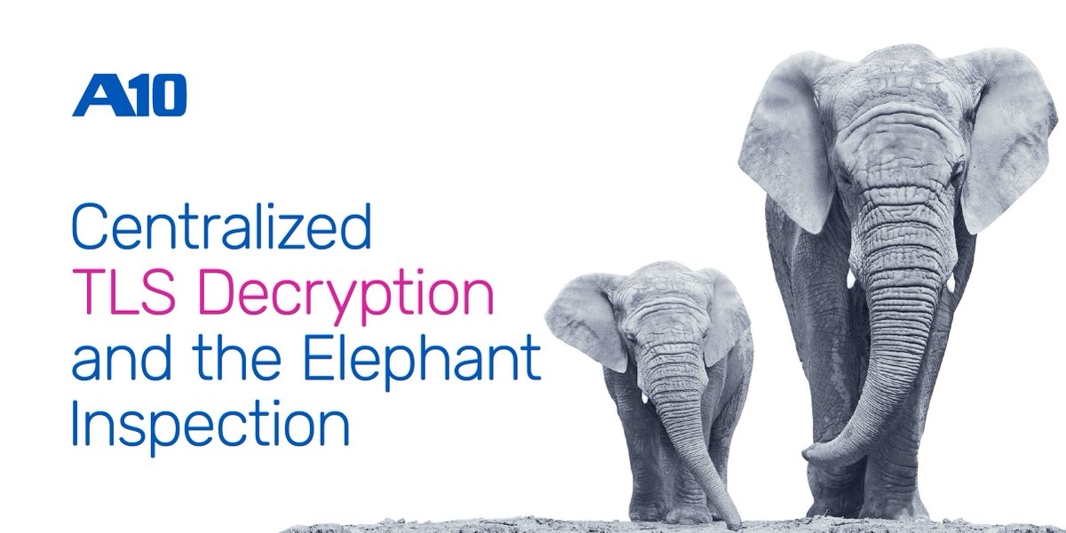 A10Networks's tweet photo. A vital aspect of any robust #cybersecurity strategy is inspecting encrypted traffic. 

A10's Gary Wang reviews why this is such a crucial aspect of a #ZeroTrust strategy and how A10 can help. https://t.co/o7nZ1ox0nD #SSLi https://t.co/AgJzJyaKMy