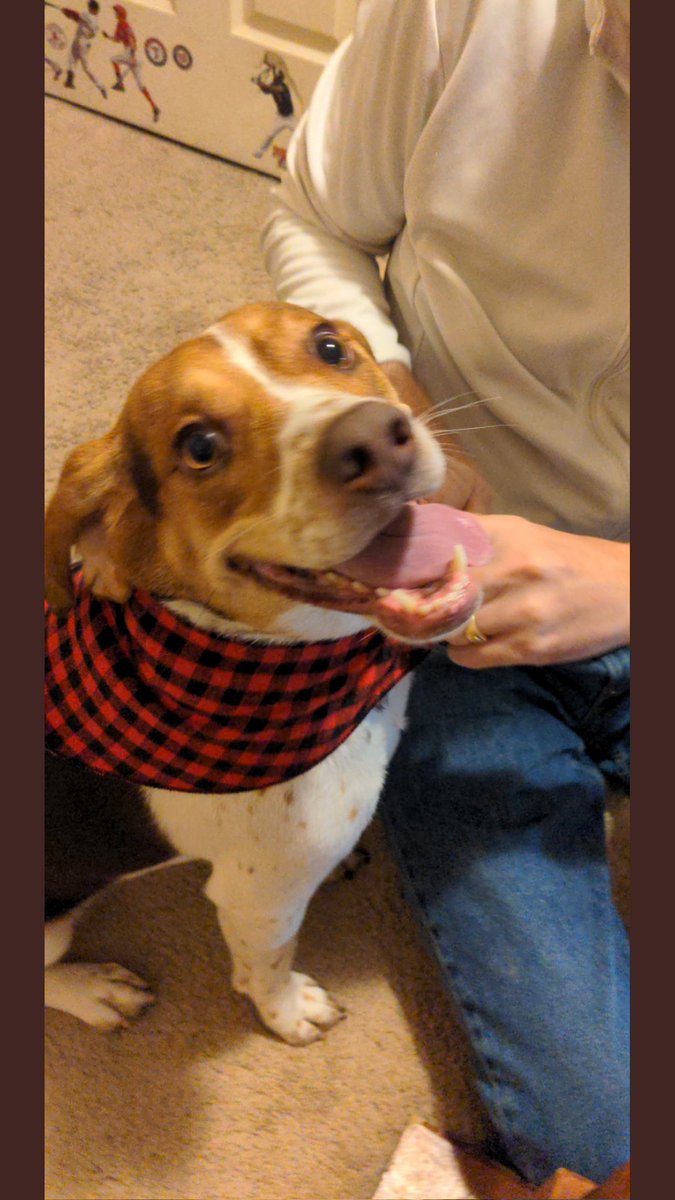 Beth Reeves tweet media