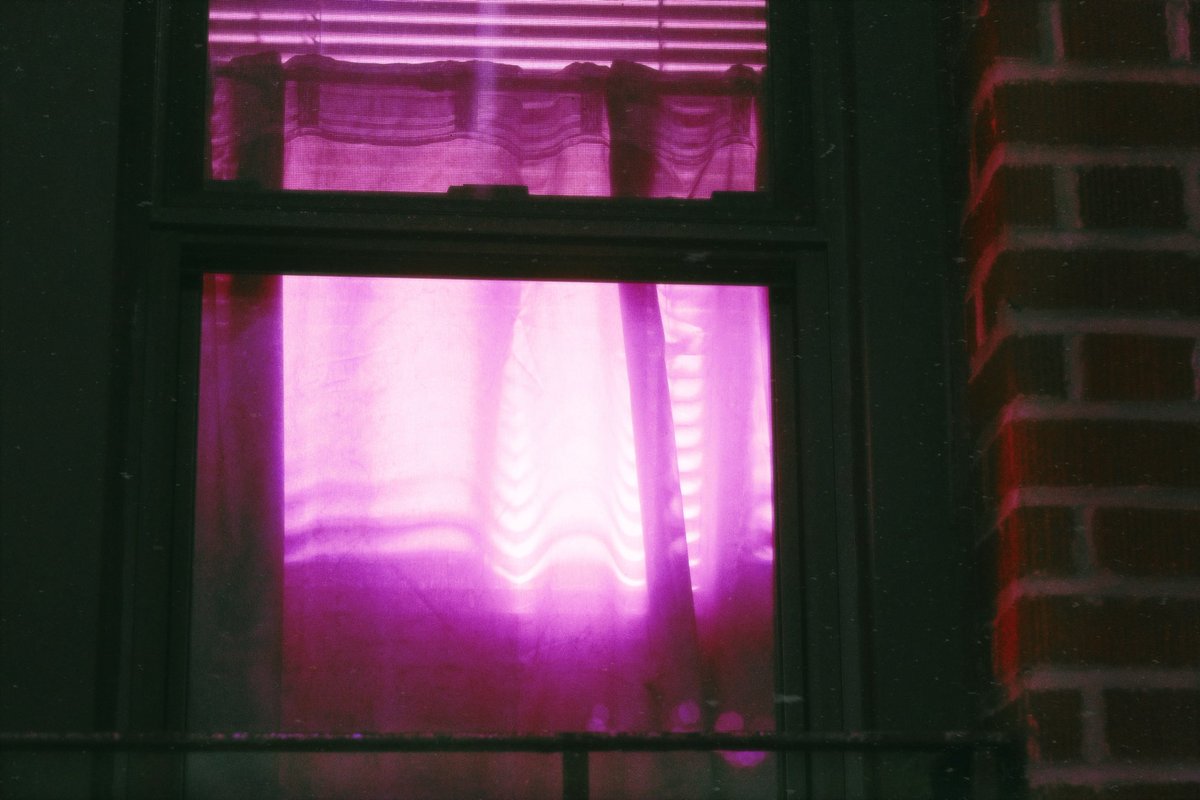 digileftovers's tweet photo. photographs i took in 2022 https://t.co/MCkEPBIHnQ