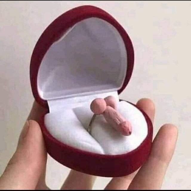 #صورة_ملف_شخصي_جديدة