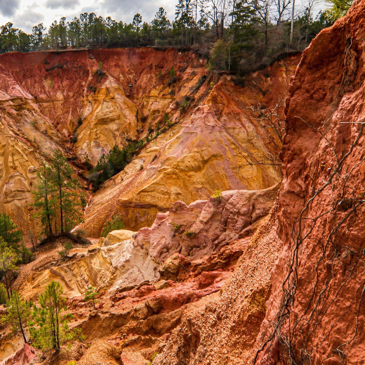 marsh413's tweet image. Red Bluff