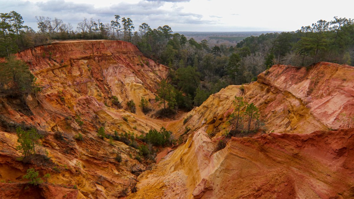 marsh413's tweet image. Red Bluff