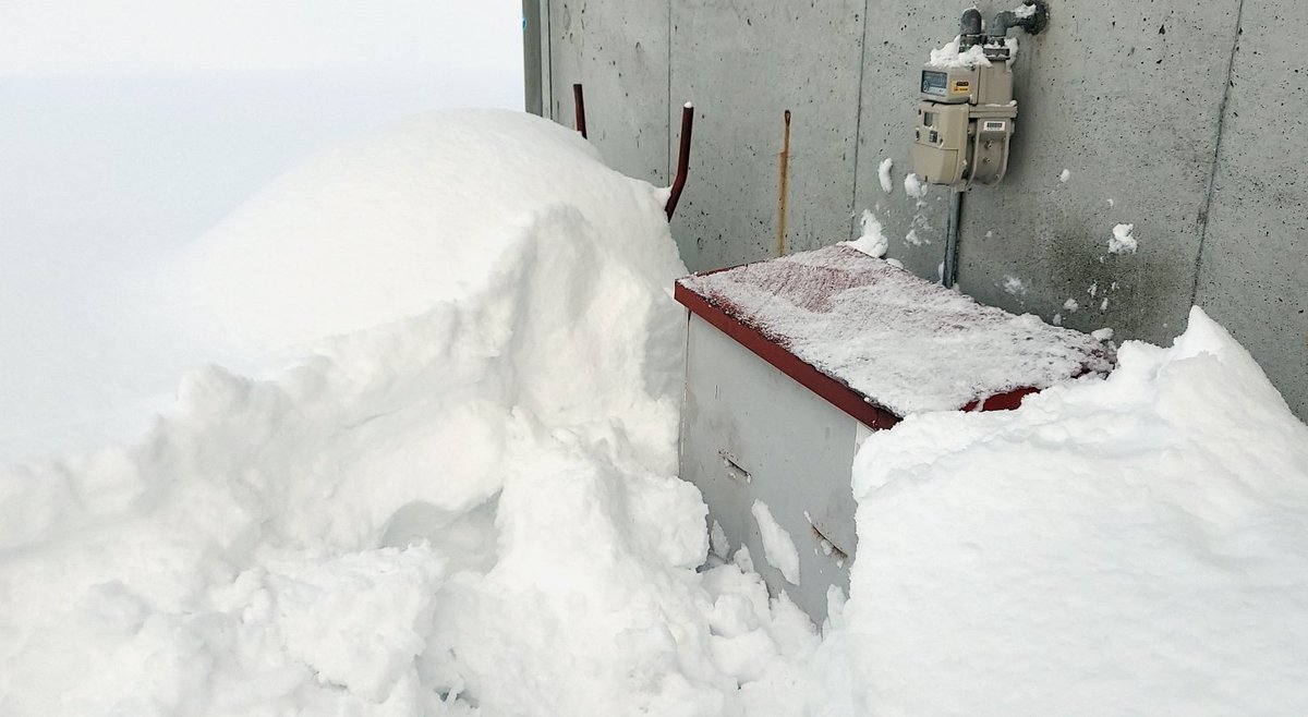 「昨夜は雪が降らなかったので、今朝は除雪の労力を、裏のガスメーター発掘に回すよ。去」|浅利与一義遠のイラスト
