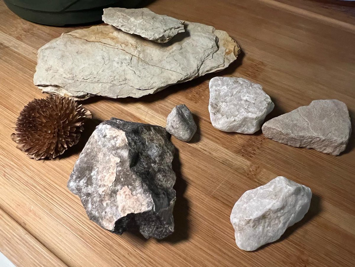 mmawifey's tweet image. 🌤 Nice Day Walk 🌳⛰
#niceday #walk #mountainair #stroll 
#ElPaso 
1.4.2023 

📷:  P. DelToro-Pecero