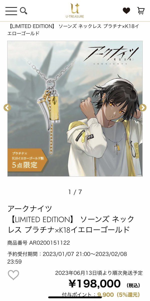 大人気☆ アークナイツ ソーンズ シルバーネックレス | www.birbapet.it