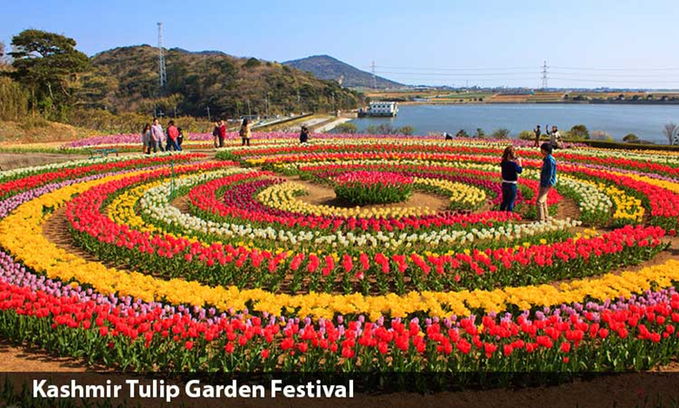 NaveenRotela's tweet photo. Kashmir's iconic Tulip Garden, is one of Asia's largest,&amp; it has seen the highest number of visitors, locals as well as domestic tourists, this year since its inception in 2007. #SoporeRescuers #Kashmir https://t.co/Kiv4h6BODV
