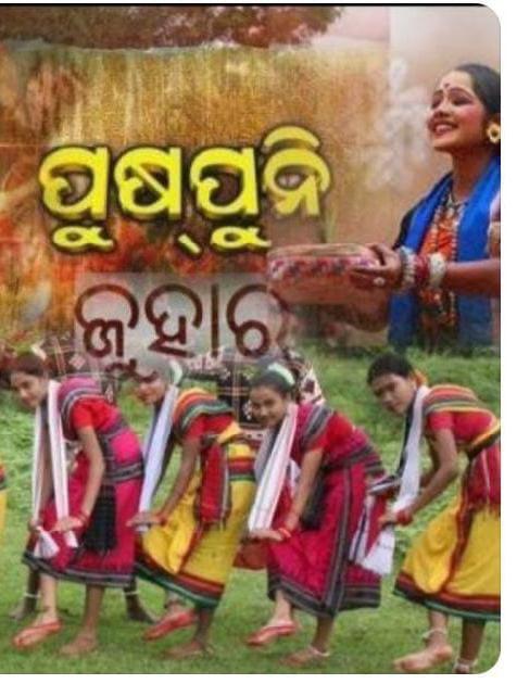 OditaTrust's tweet photo. Pushpuni is an important agricultural festival of Odisha like #Nuakhai.
“By this time, all the harvested paddy are stored at home. The farmers enjoy.”
- words of Shri N.K.Mishra
#Puspuni #Pushpuni
#Juhar #PushpuniJuhar https://t.co/8z1K9AGtXE