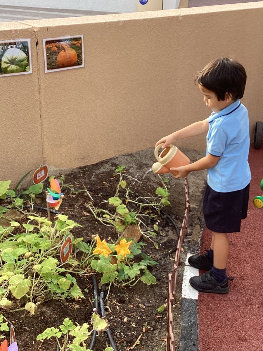 JESSjumeirahFS1's tweet photo. We’ve had a great first week back at school after the holidays. We are ready for the new term ahead 💫 #JESSJumLearning #EYFS https://t.co/I37U39SS6y