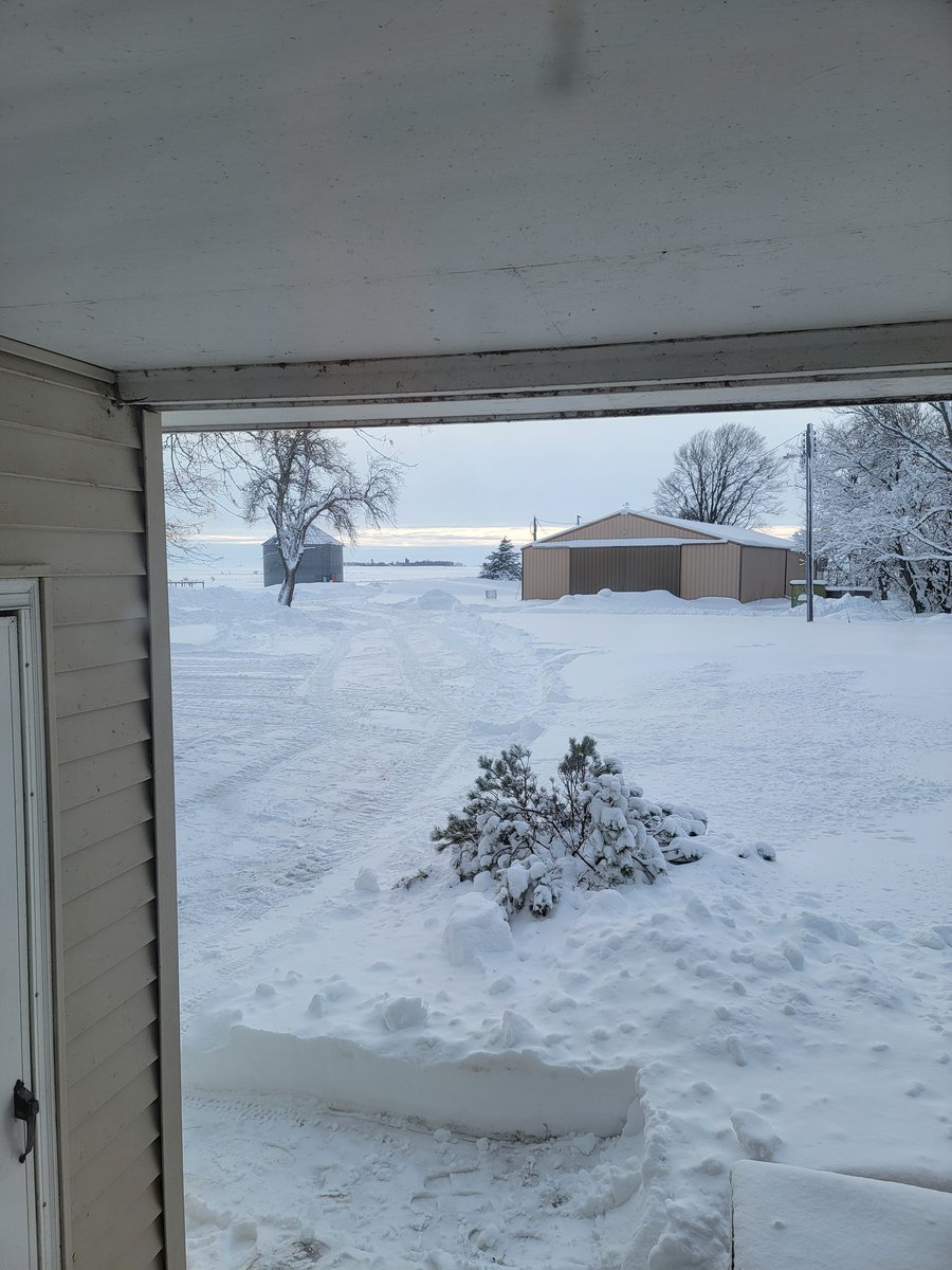 Gator0173's tweet photo. @na_ta_sha_86 @ryder__rox What part of Snowed-in did you miss.... lol 1/2 mile of unplowed road w/ 2+ ft snow .. this is a view from my front door this morning https://t.co/dtkf9pCFTD