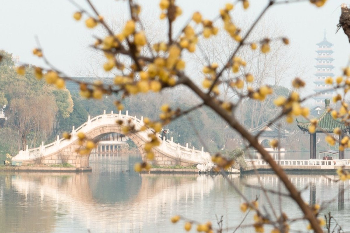 Descubre_China's tweet photo. El invierno en el lago “Slender West” en Yangzhou floreció silenciosamente para dar la bienvenida a la llegada del Año Nuevo 🇨🇳 🐰 🧧 🍒
#China #AñoNuevo #Invierno #Tradiccion #Paisaje https://t.co/jUJPhDsV6l
