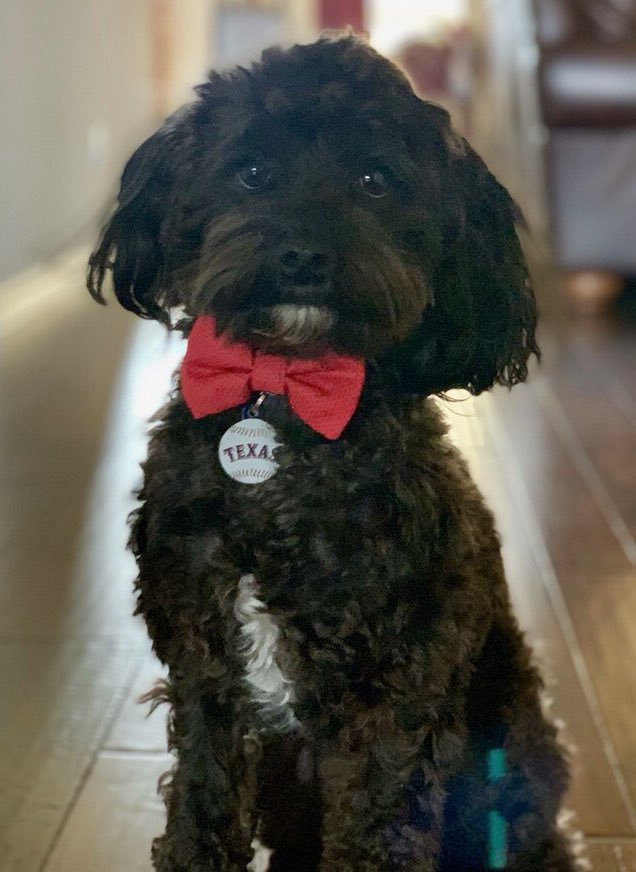 Becky Wilder tweet media