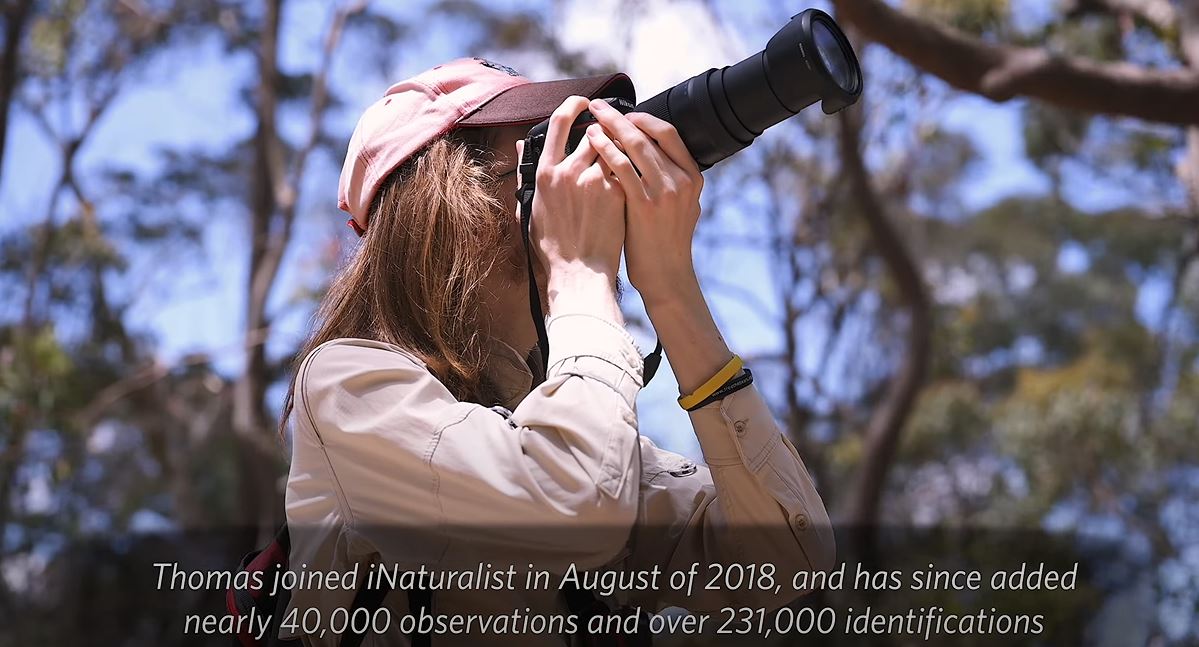 atlaslivingaust's tweet image. ⭐ Check out this great interview with @thomasmesaglio who is an identifier &amp;amp; contributor at @inaturalist!

🌱 Learn more about the value of contributing to the iNat community and supporting AU #biodiversity science from Thomas 👇

#CitizenScience
 
inaturalist.org/blog/73823-an-…