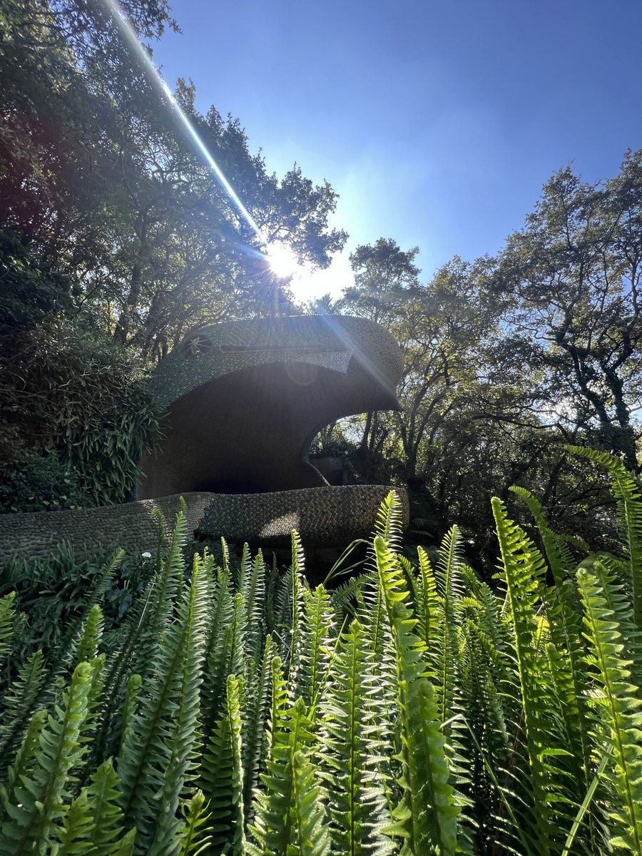 Dom Wong tweet media