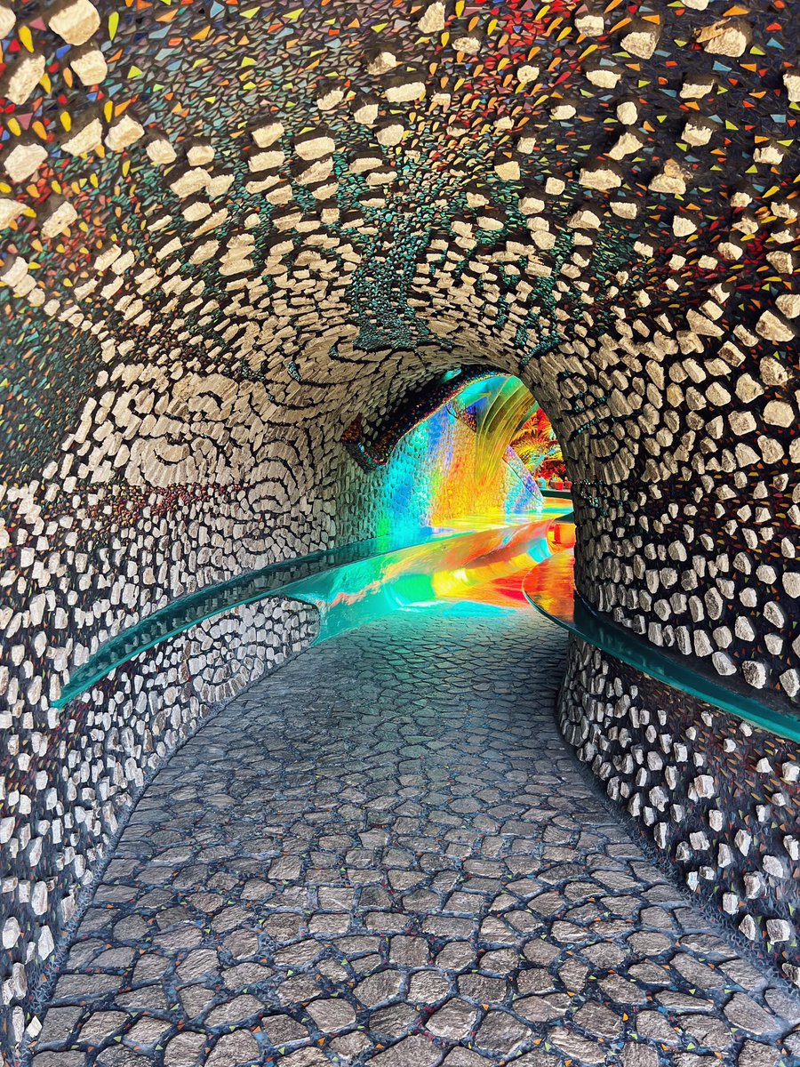 Dom Wong tweet media