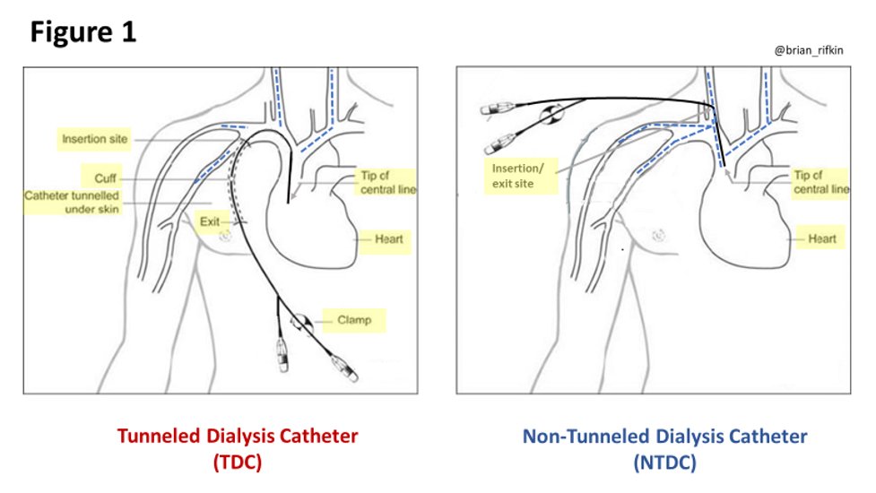 Renal Fellow Network tweet media
