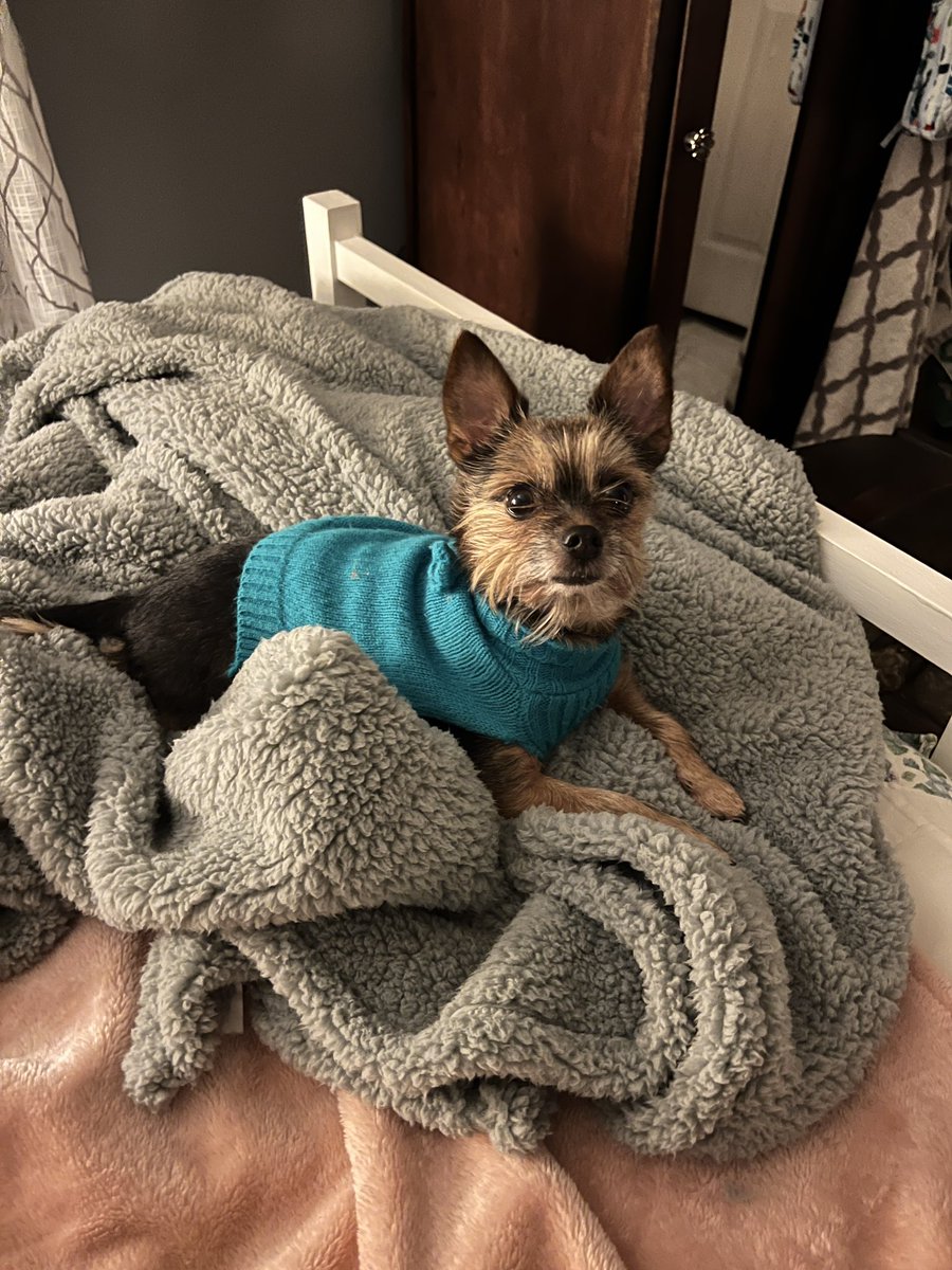 Holly Draughn tweet media