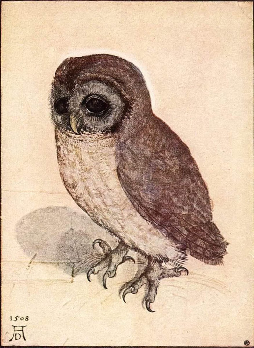 The Little Owl is a watercolour on paper by Albrecht Durer from 1506 CE, and is owned by the Albertina Museum in the Austrian city of Vienna.

#archaeohistories