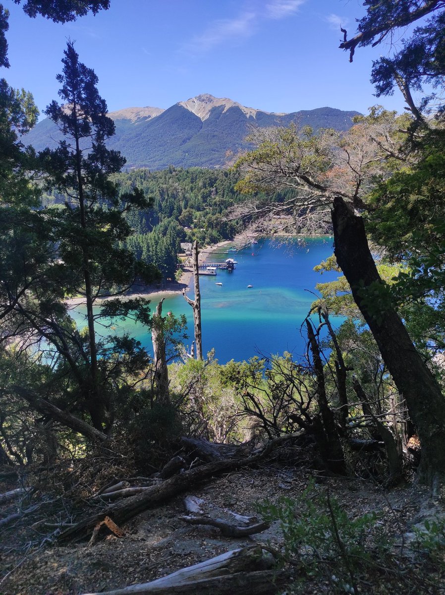 Fede 🦕🦖 tweet media