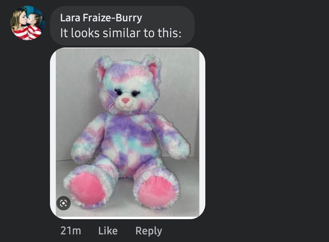 Noble41's tweet photo. If you frequent Value Village, keep an eye out for a very special bear, donated by accident. #nlwx #nltraffic #yyt https://t.co/S3Hv3aUK4i