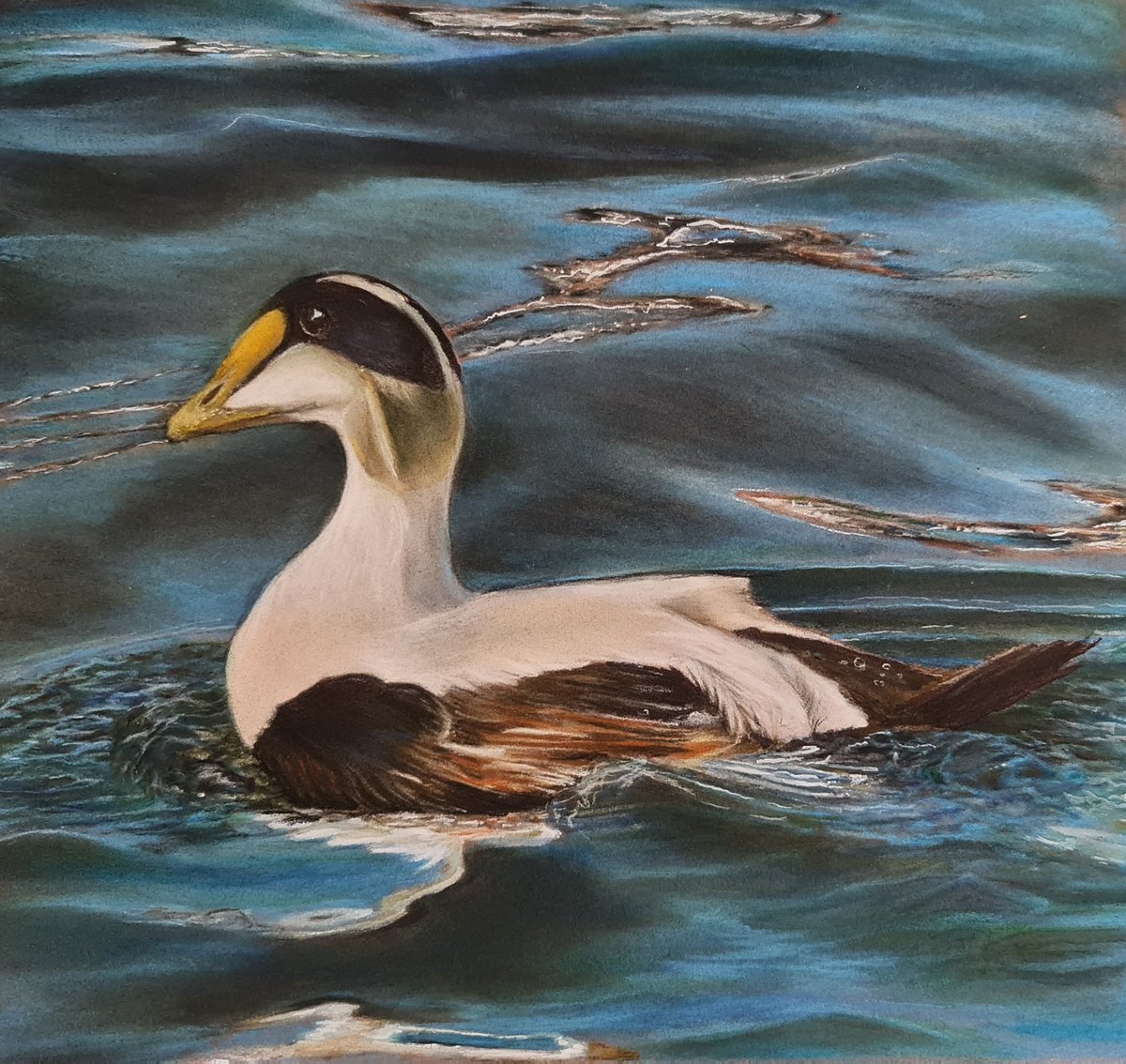 My first art of 2023 - eider duck in pastels.