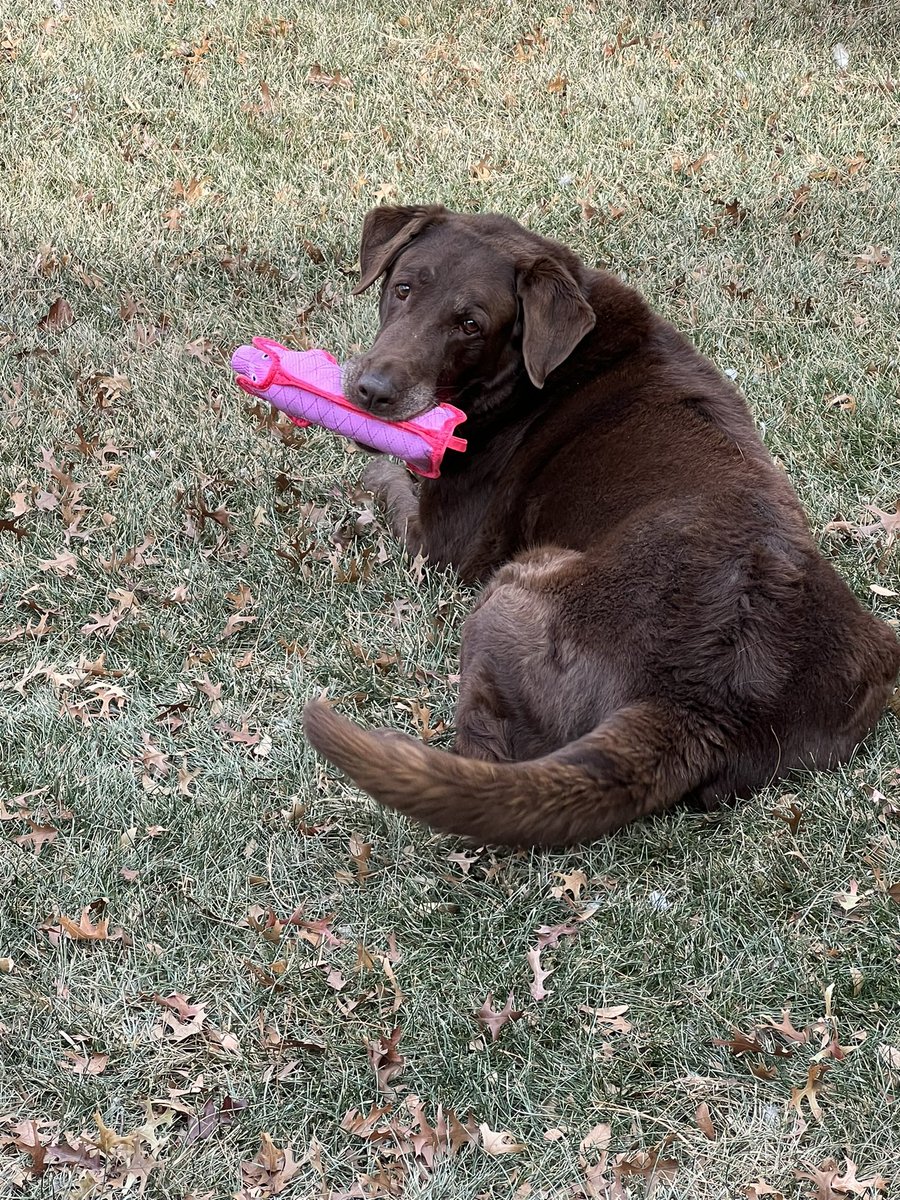 Whitney Bernard tweet media