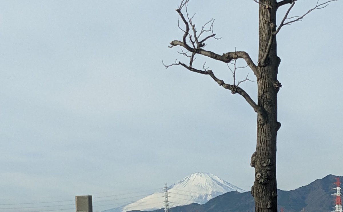 今年初の富士様✨🗻
もうすぐつくぅー🚗 =3

 #初詣2023
