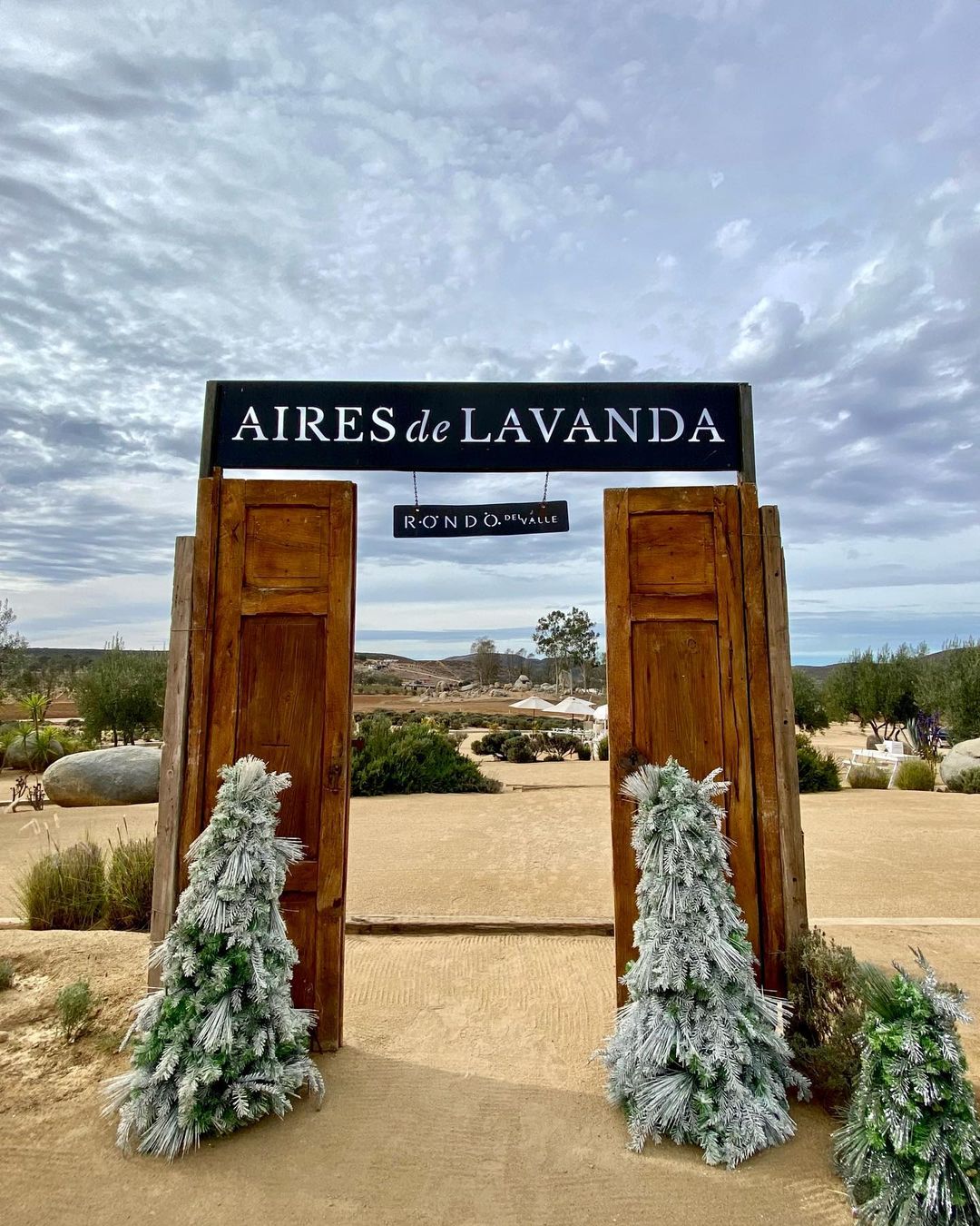 Aires de Lavanda (@airesdelavanda) / Twitter