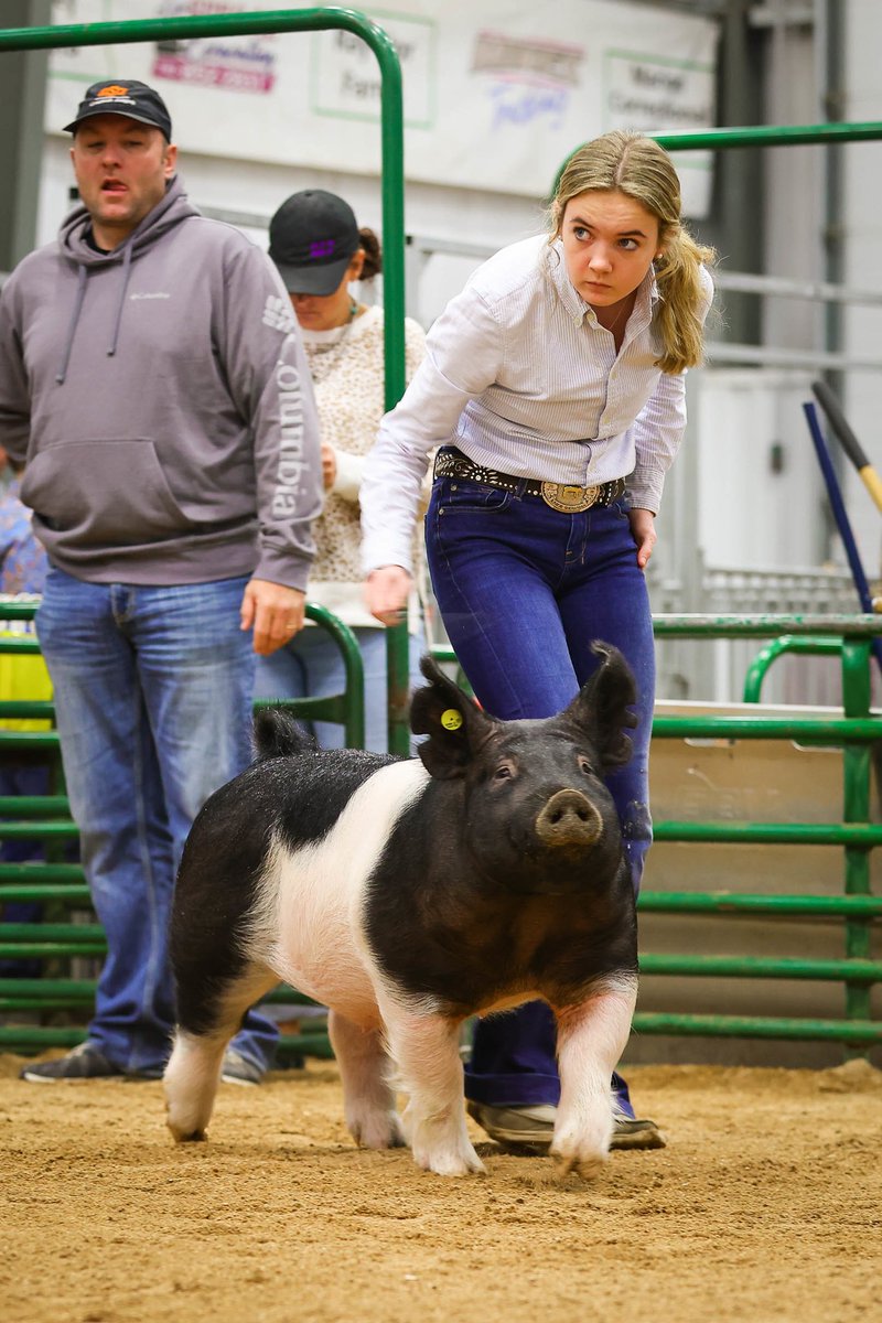 Sarah Geukes tweet media