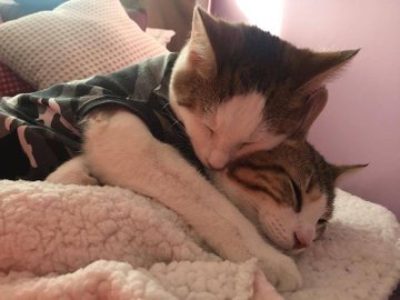 lowkeyalbert's tweet photo. cute images to make you happy :) https://t.co/zhzleCOw7l