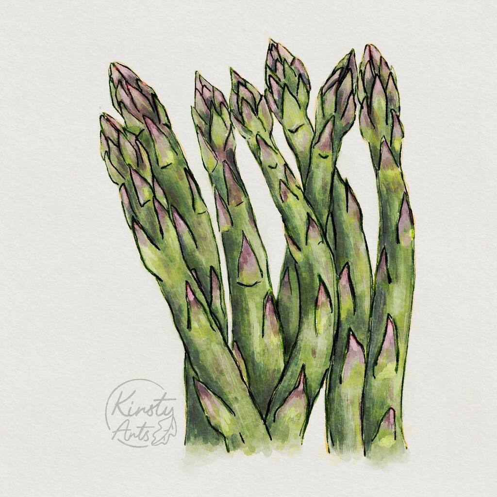 KirstyArts_'s tweet photo. Day 004 - Asparagus
.
I’m doing Making Art Everyday - a daily drawing challenge by Bardot Brush
.
#asparagus #vegetables bardotbrush #makingarteveryday #makingarteveryday2023 #art #digitalart #digitalwatercolour #digitalwatercolor #digitalpainting #procr… https://t.co/k0vfVgriPa https://t.co/CEA69jIHvd