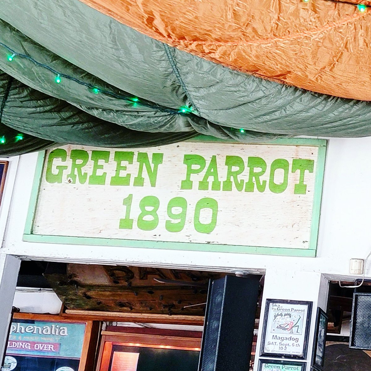 EricTaubert's tweet photo. Some scenery from The Green Parrot in Key West.

#keywest #florida https://t.co/X8Cpk3DnXE